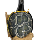 低価格で耐久性のある、三線をお求めの方におすすめ【真壁型 人工皮 普通塗り】