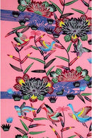 紅型柄　一越　乱菊柄 着物反物